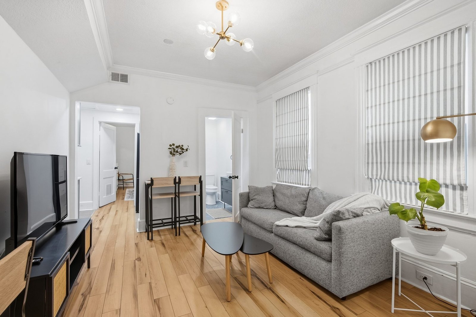 Sunlit furnished apartment in Riverside Jacksonville Florida
